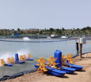 SRR Aqua Supplier aerator image uploaded by afbnglobal.com