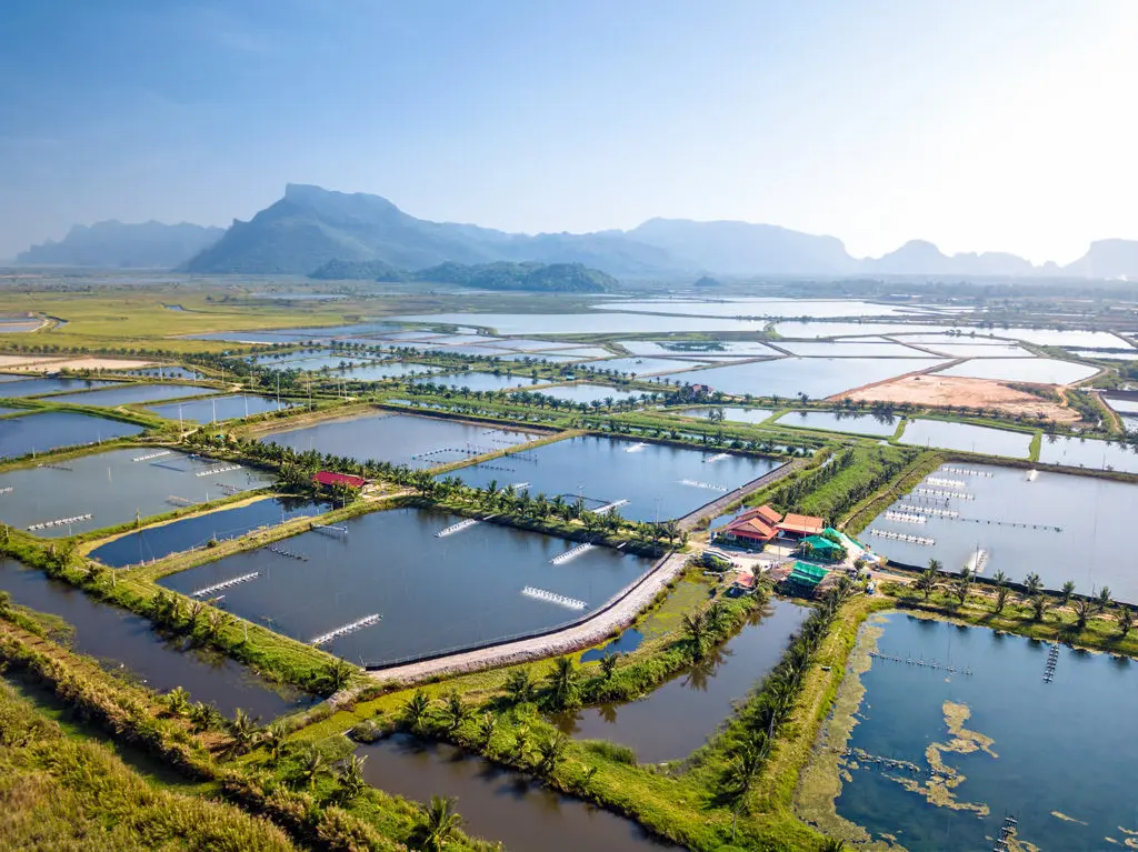 aquaculture farm image uploaded by Afbnglobal.com