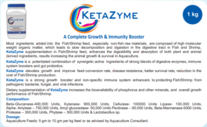 KETAZYME - ZINQUE PRODUCT UPLOADED BY AFBNGLOBAL.COM