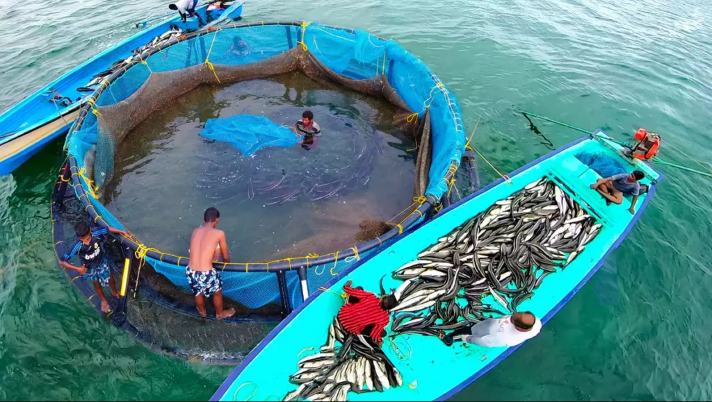 image of mariculture uploaded by afbnglobal.com