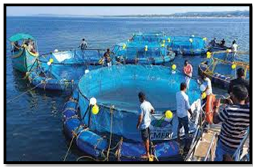 image of mariculture uploaded by afbnglobal.com