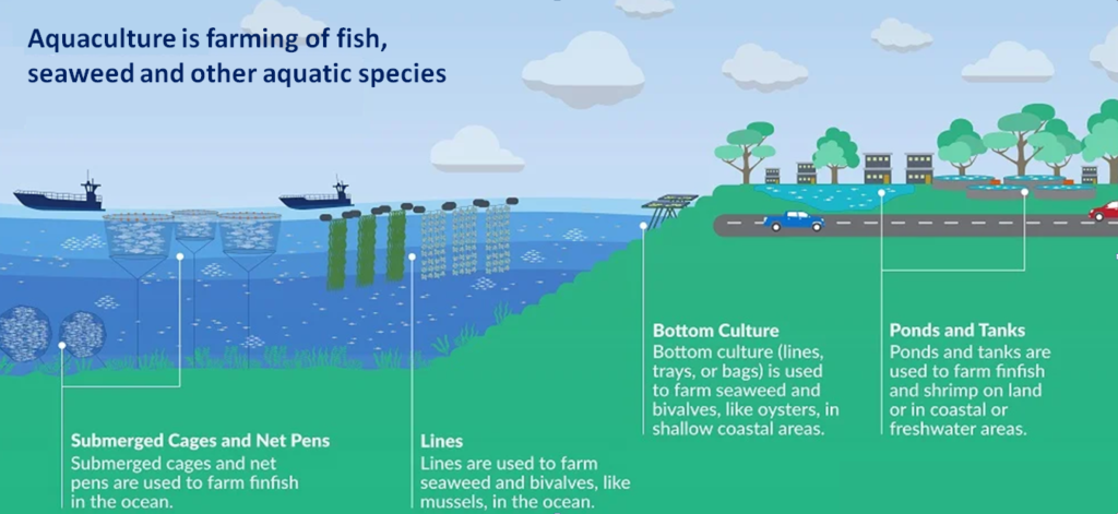 what is aquaculture image uploaded by AFBNGLOBAL.com