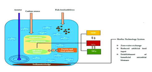 biofloc digram uploaded by Afbnglobsl.com